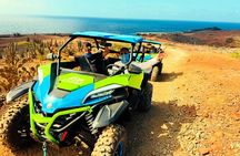 UTV Morning Tour: Discover Aruba's Hidden Treasures