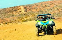 Aruba Northcoast UTV Afternoon Tour