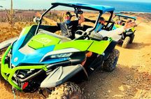 Aruba Northcoast UTV Afternoon Tour