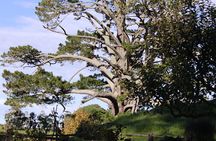 Hobbiton and Waitomo Caves from Rotorua - Smaller Group