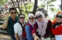 Private Tour for Cruise Customers From Gangjeong or Jeju Port 