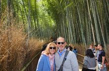 Day Trip Kyoto from Tokyo with a Licensed Guide by Bullet Train