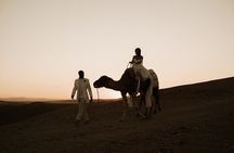 Marrakech: All-In-ONE Agafay CAMEL , DINNER, SHOW & TRANSPORT.