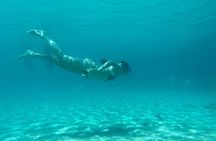 Split: Blue Lagoon & 3 Island Cruise with Wine & Snorkeling