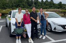 Private Tour for Cruise Customers From Gangjeong or Jeju Port 