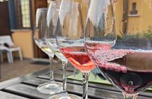 Vatican Pasta class with full wine tasting 4wines in cozy rooftop