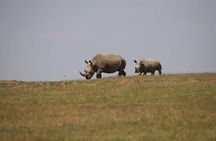 Private full day Akagera National Park with a relaxing boat ride