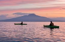 Sorrento Coastline Kayak Tour and Free 1h Stand Up Paddleboarding