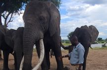 Chobe Day Trip in Botswana