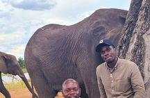 Chobe Day Trip in Botswana