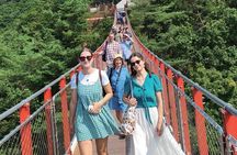 DMZ Tour + North Korean Defector: Real Stories Beyond the Border