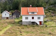 Preikestolen Cruise Cabin and Hiking Adventure