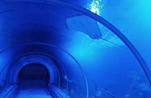 Hurghada Grand Aquarium Entrance Tour