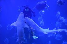 Hurghada Grand Aquarium Entrance Tour