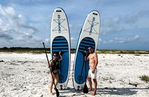 4 Hour Clearwater Beach Private Pontoon Boat Tour