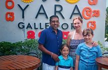 3 Days Tour to Sigiriya,Nuwaraeliya to Ella from Kandy