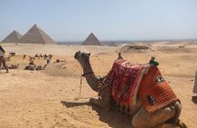 Elegant Grand Egyptian Museum and Giza Pyramids Full Day Tour
