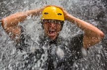 Private El Yunque Half-Day Tour with Transport
