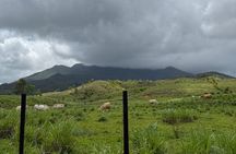Private El Yunque Half-Day Tour with Transport