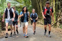 Private El Yunque Half-Day Tour with Transport