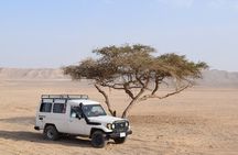 Desert Jeep Safari , Camel Riding & Bedouin dinner in Marsa Alam