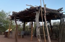 Private Sunset Walking Tour -Sonoran Desert Botanical Gardens 2h 