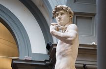 Florence: Tour of Michelangelo's David with Priority Access