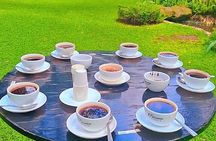 Half-Day Fairview Estate Coffee Farm & Coffee Tasting Tour