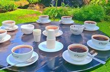 Half-Day Fairview Estate Coffee Farm & Coffee Tasting Tour