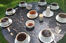 Half-Day Fairview Estate Coffee Farm & Coffee Tasting Tour