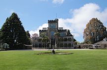 You choose the itinerary Dunedin, Full day, 6hrs