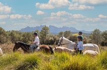 Montserrat Horse Riding and Walking Small Group Tour 