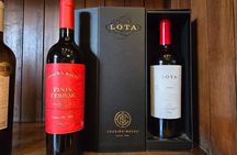 Winery Tour & Tasting + Lapis Lazuli Craft Visit + Hotel Pickup