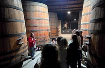 Winery Tour & Tasting + Lapis Lazuli Craft Visit + Hotel Pickup