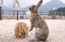 Okunoshima Rabbit Island Cycling Tour with Local Guide