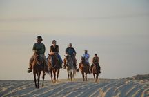 Combo Horseback ride & Sky Bike in Cabo by Cactus Tours Park
