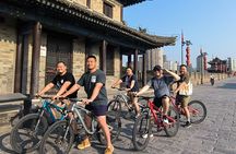 6-Person Xi'an Mini Group: Terracotta, Big Pagoda & City Wall