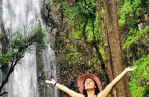 Moshi Half-Day Tour:vWaterfall hike ,Coffee Tour & hot- lunch 