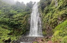 Moshi Half-Day Tour:vWaterfall hike ,Coffee Tour & hot- lunch 