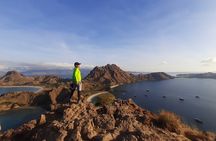 Full Day Tour to Komodo Island By Speed Boat to explore 6 destinations