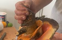 Taste Tour and Capture Nassau Island Experience with Photos