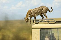 3 Days Serengeti and Ngorongoro joining Camping Safari