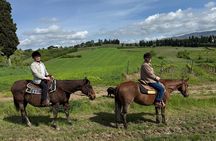 Horseback Riding Adventure in Tuscany’s Countryside