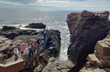 Acadia Woody's "Cadillac Loop" 3 Hour Driving Tour