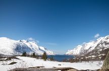 Tromsø: Fjord Adventure Tour with Wildlife and Lunch