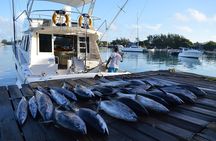 Private Grand Baie Mauritius Fishing Experience Tour