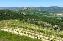 Istria Wine Tour from Island Krk and Rijeka