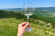 Istria Wine Tour from Island Krk and Rijeka