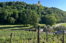 Istria Wine Tour from Island Krk and Rijeka