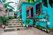 Homestay + Cooking + Animal Care + Fruit Harvesting + Much More